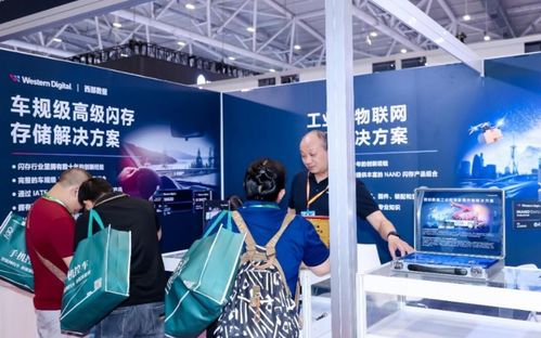 西部數(shù)據(jù)亮相P&I Shanghai 2024 以卓越存儲賦能影像創(chuàng)作新時(shí)代